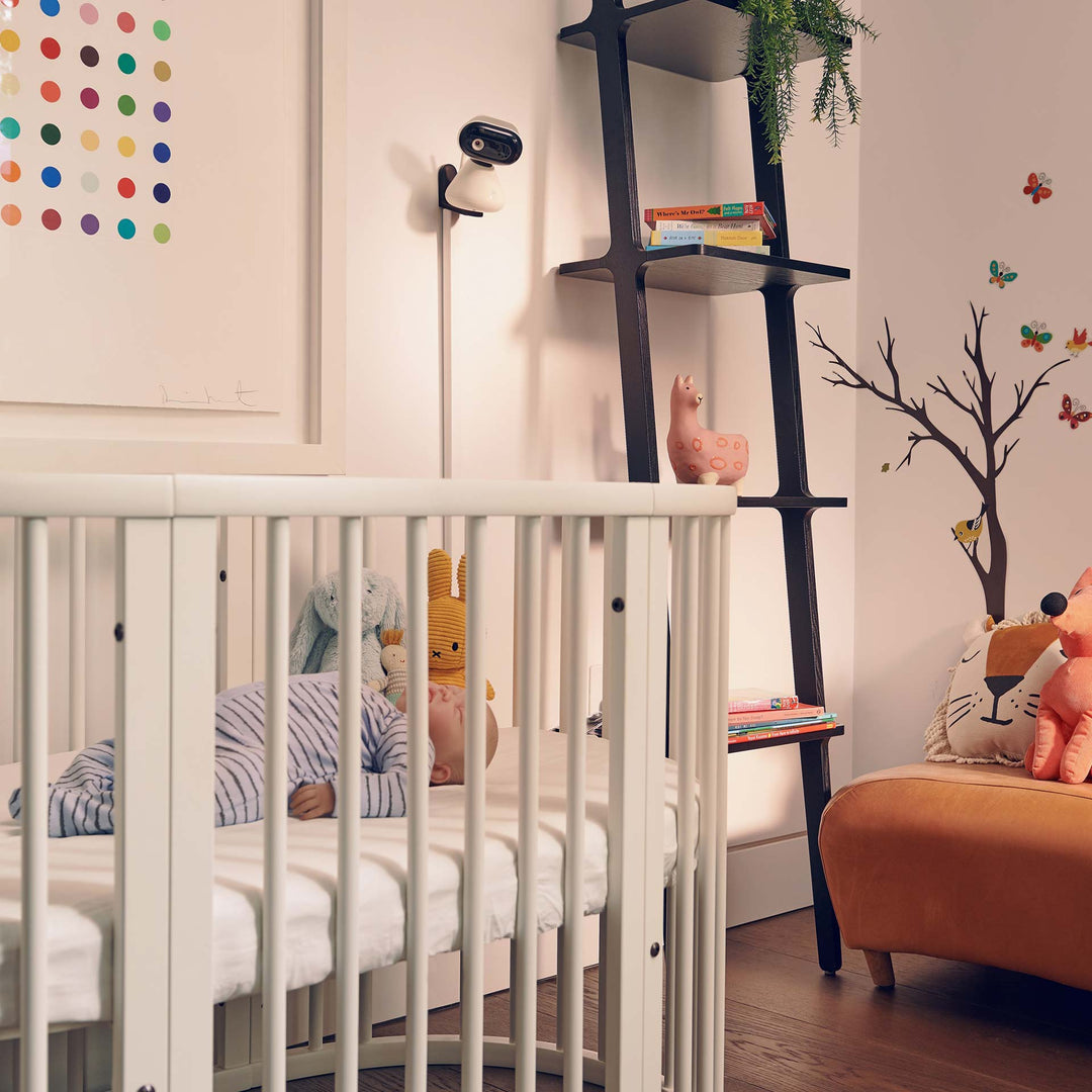 מוטורולה PIP1500 צג 5