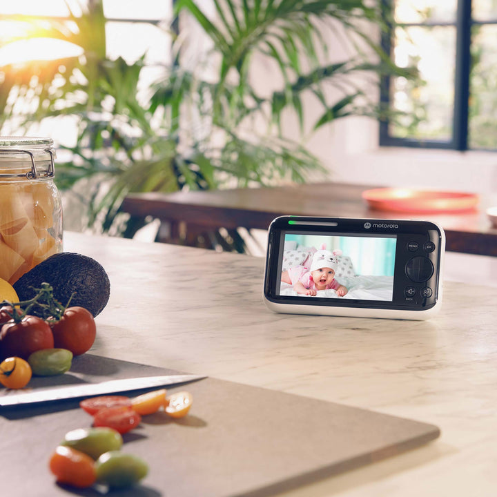 מוטורולה PIP1500 צג 5