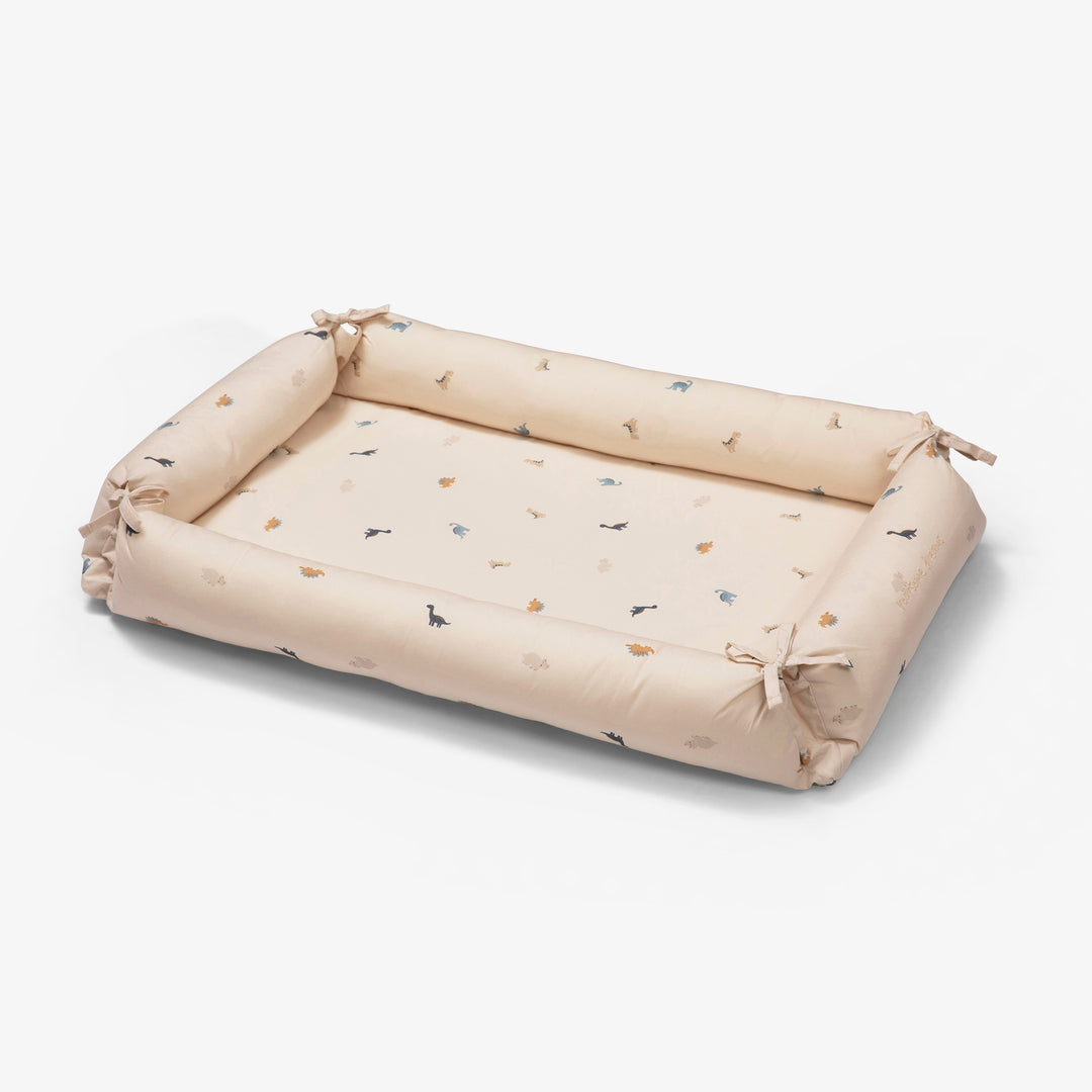 בייבי נסט דינו