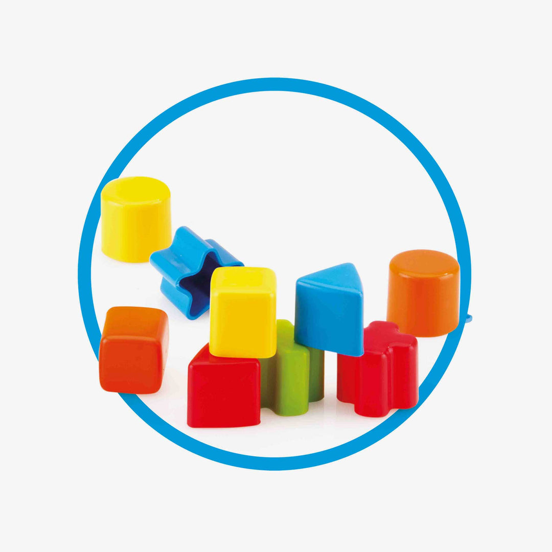 צב התאם צורה