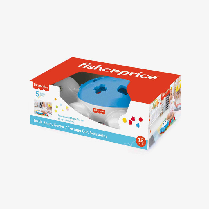 צב התאם צורה