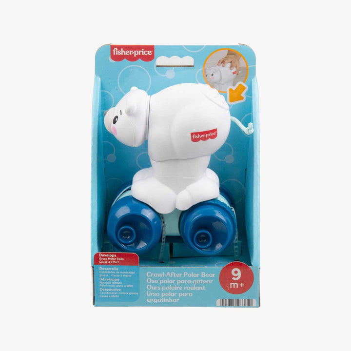 דב קוטב מתגלגל