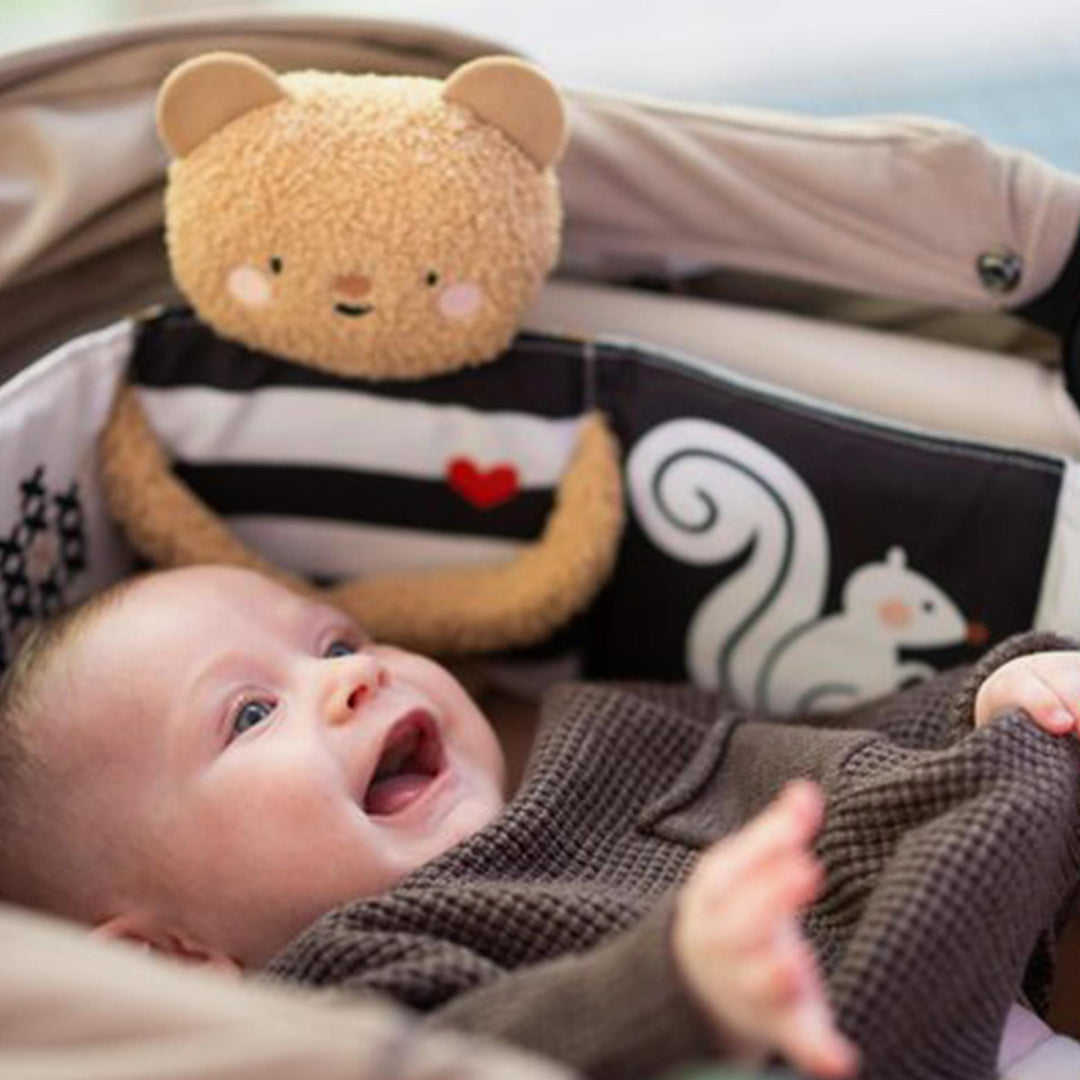 ספר פעילות דובי