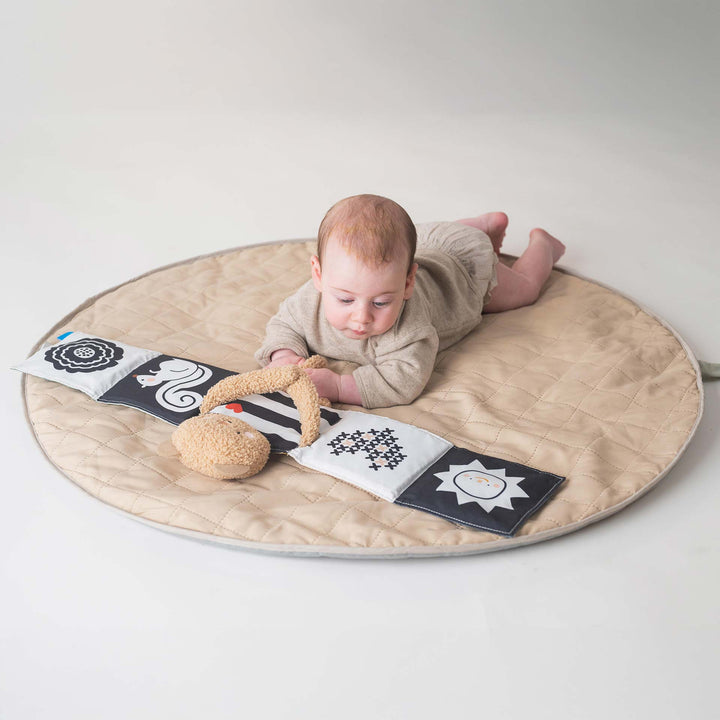 ספר פעילות דובי