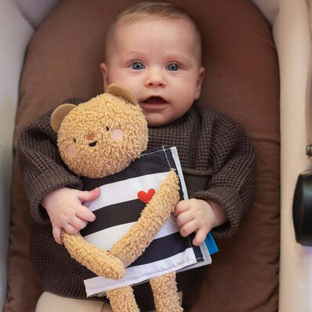 ספר פעילות דובי