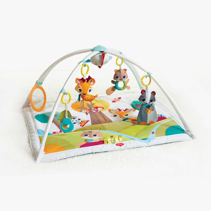 אוניברסיטה ג'ימיני חיות ביער