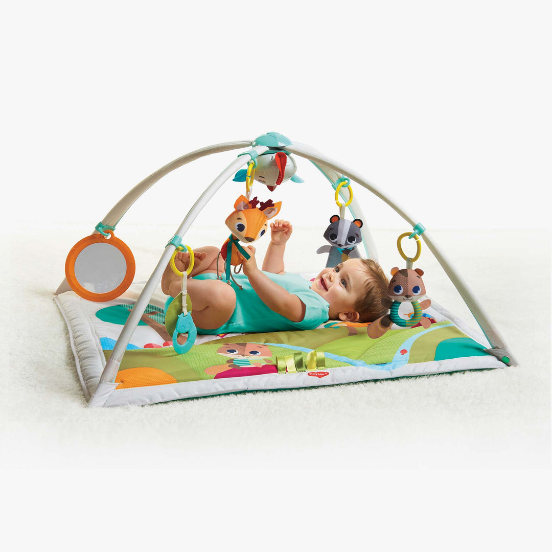 אוניברסיטה ג'ימיני חיות ביער