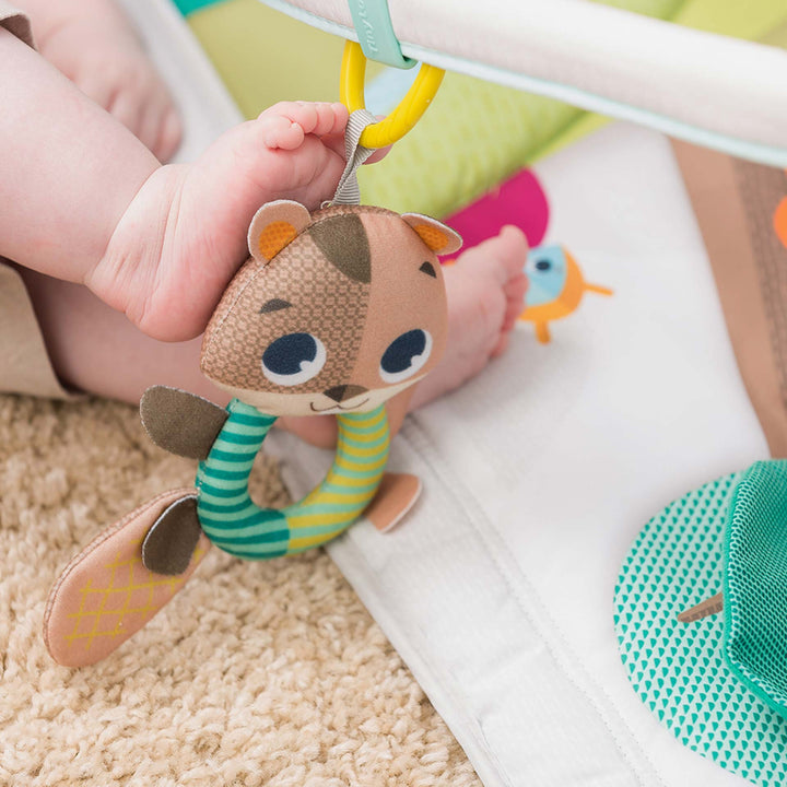 אוניברסיטה ג'ימיני חיות ביער