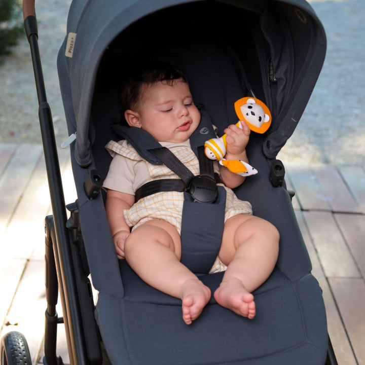 סט צעצועים ראשון שלי חיות באחו