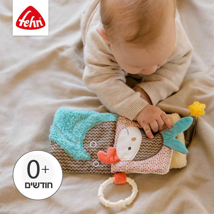 ספר פעילות דובי ברונו