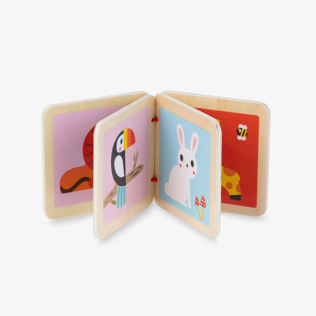 ערכת צעצועי התפתחות 6-12