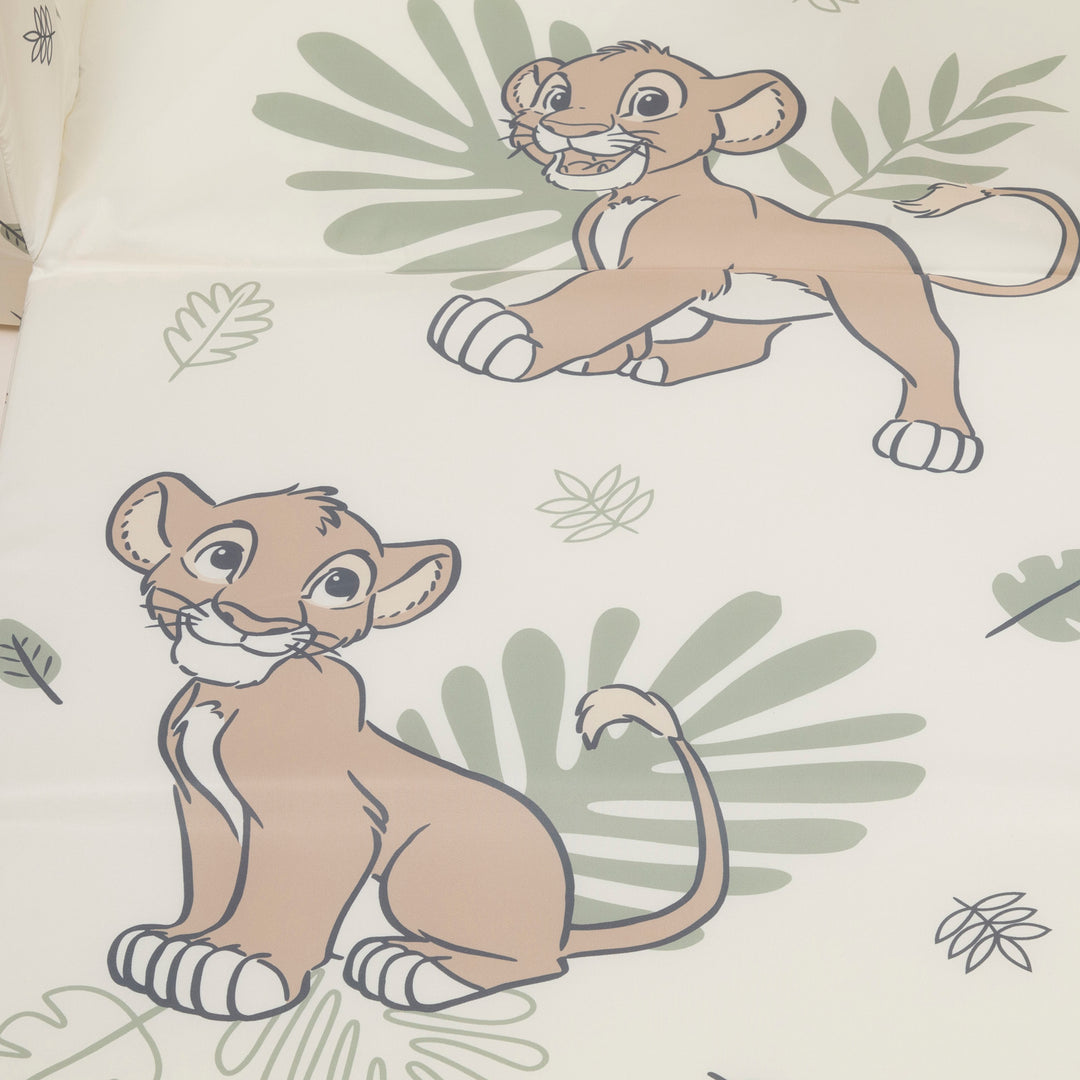 ספונת סימבה שמנת