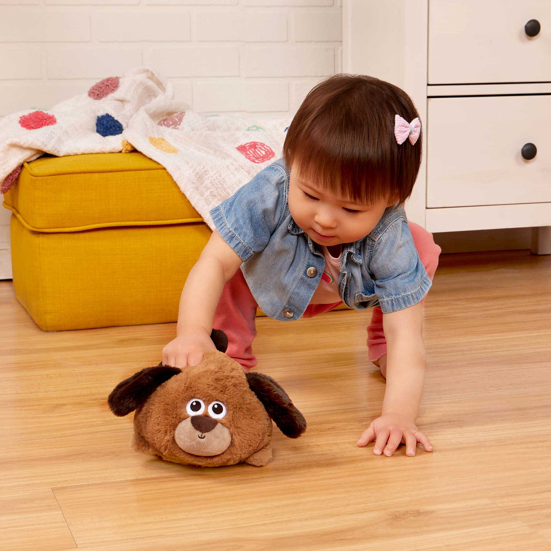 כלבלב מעודד זחילה