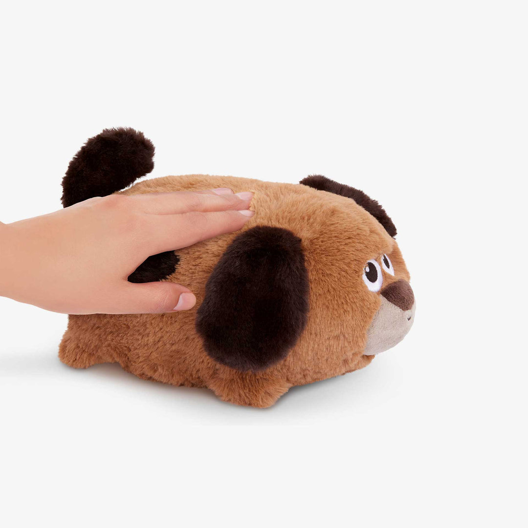 כלבלב מעודד זחילה