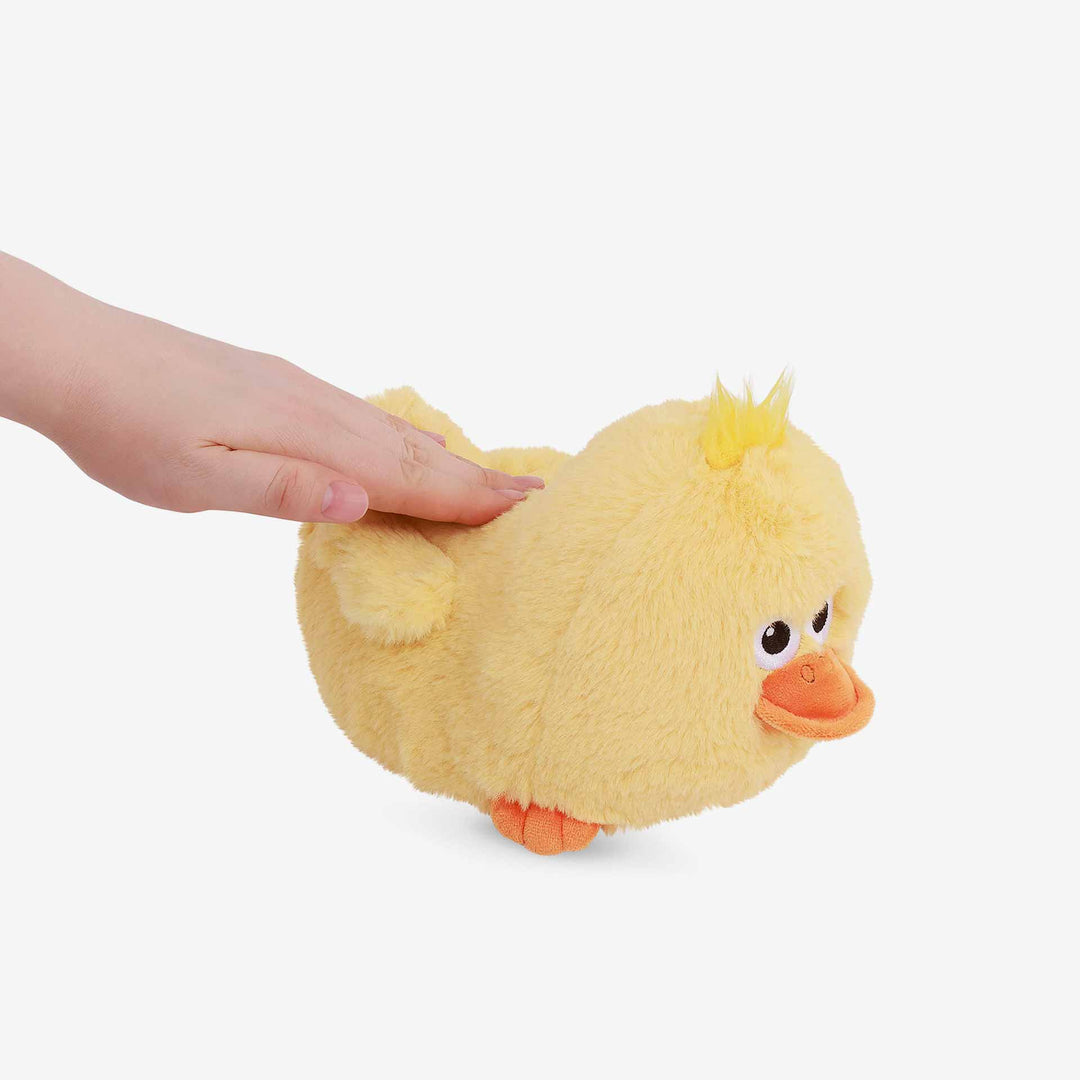 אפרוח מעודד זחילה