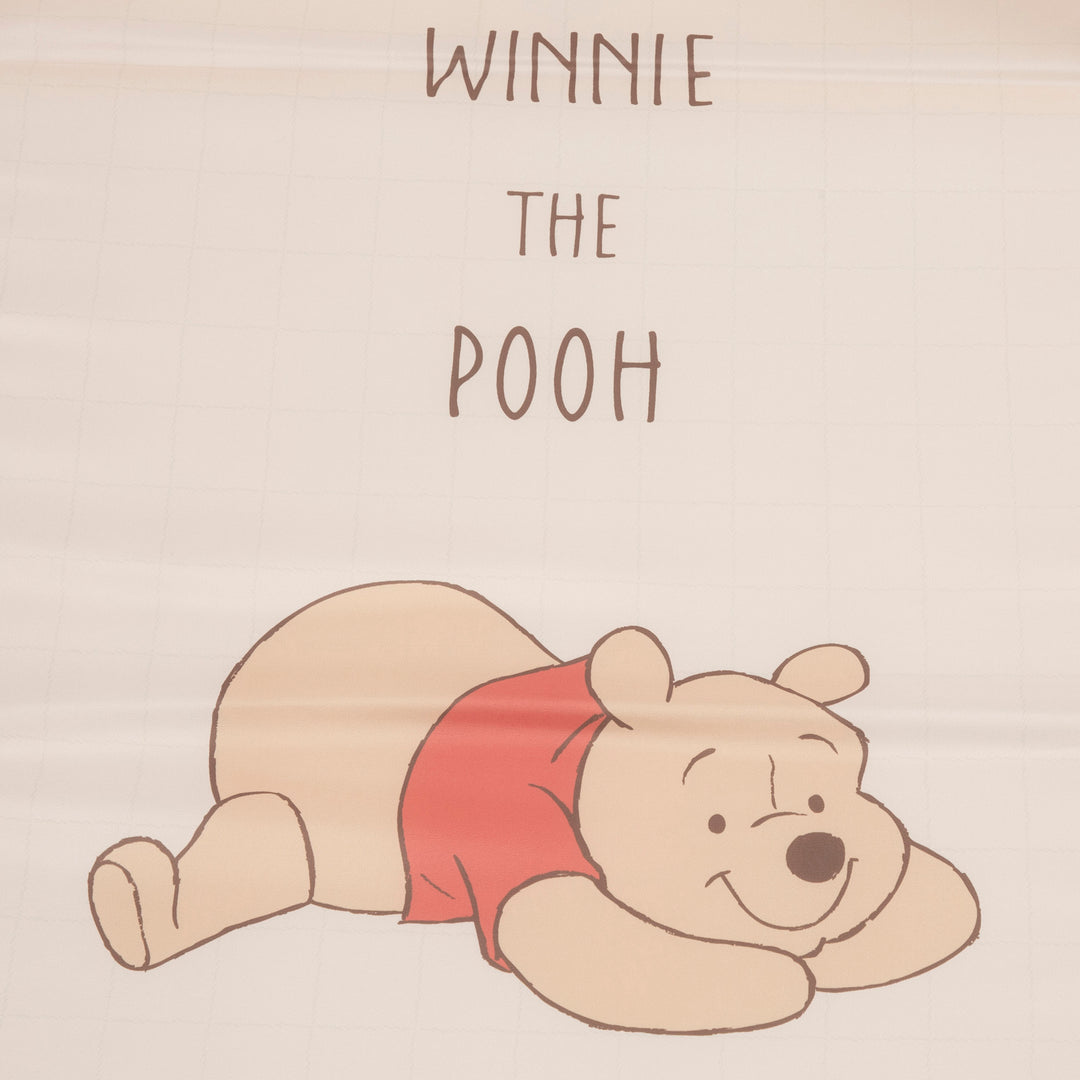 ספונת פו הדב וחברים