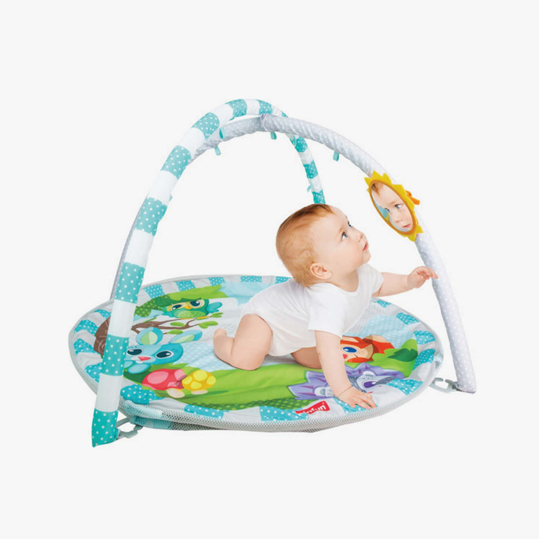 אוניברסיטה חיות וכדורים